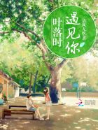 叶落时遇见你