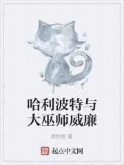 哈利波特与大巫师威廉
