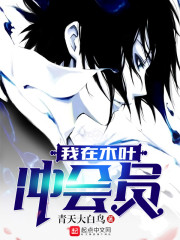 绝品无敌小医仙王天